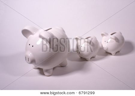 Followthepiggy