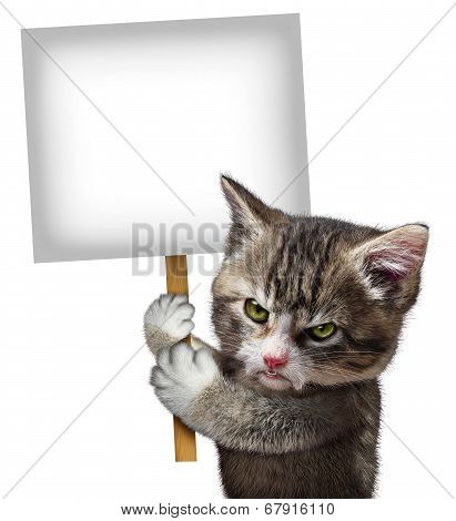 Angry Cat Holding Sign