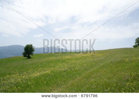 Paisagem