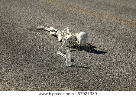 A lost hiker dies of thirst on a deserted desert road inches away from a bottle of water.  Dark Humor Series. 