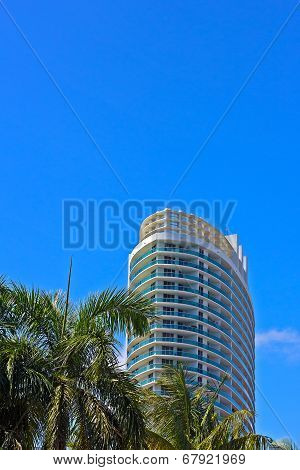 Residential skyscraper and palm trees against bright blue sky.