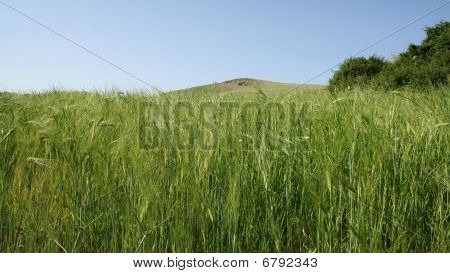 Paisagem