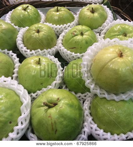 Guava Fruit.