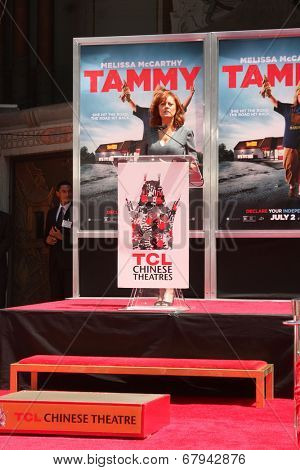LOS ANGELES - JUL 2:  Susan Sarandon at the Melissa McCarthy Hand and Footprint Ceremony at the TCL Chinese Theater on July 2, 2014 in Los Angeles, CA