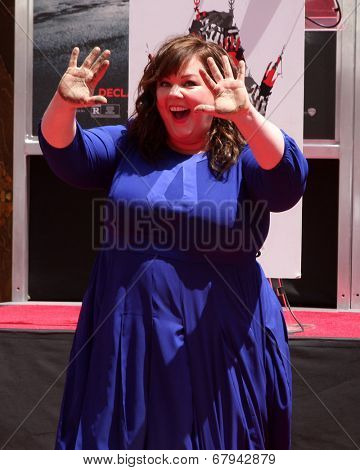 LOS ANGELES - JUL 2:  Melissa McCarthy at the Melissa McCarthy Hand and Footprint Ceremony at the TCL Chinese Theater on July 2, 2014 in Los Angeles, CA