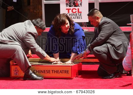 LOS ANGELES - JUL 2:  Melissa McCarthy at the Melissa McCarthy Hand and Footprint Ceremony at the TCL Chinese Theater on July 2, 2014 in Los Angeles, CA