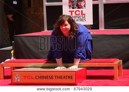 LOS ANGELES - JUL 2:  Melissa McCarthy at the Melissa McCarthy Hand and Footprint Ceremony at the TCL Chinese Theater on July 2, 2014 in Los Angeles, CA