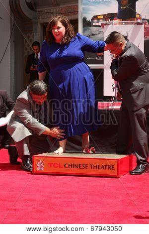LOS ANGELES - JUL 2:  Melissa McCarthy at the Melissa McCarthy Hand and Footprint Ceremony at the TCL Chinese Theater on July 2, 2014 in Los Angeles, CA