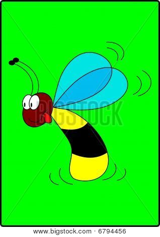 WASP