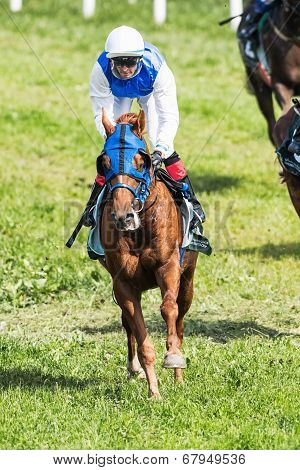 Jockey After A Curve At The Nationaldags Galoppen In Gardet