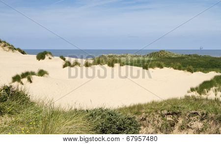 Sand dunes and grasses at Formby beach