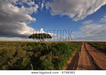 Paysage africain