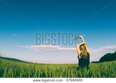 Blonde wman holding wheat. Freedom in the nature stock image.