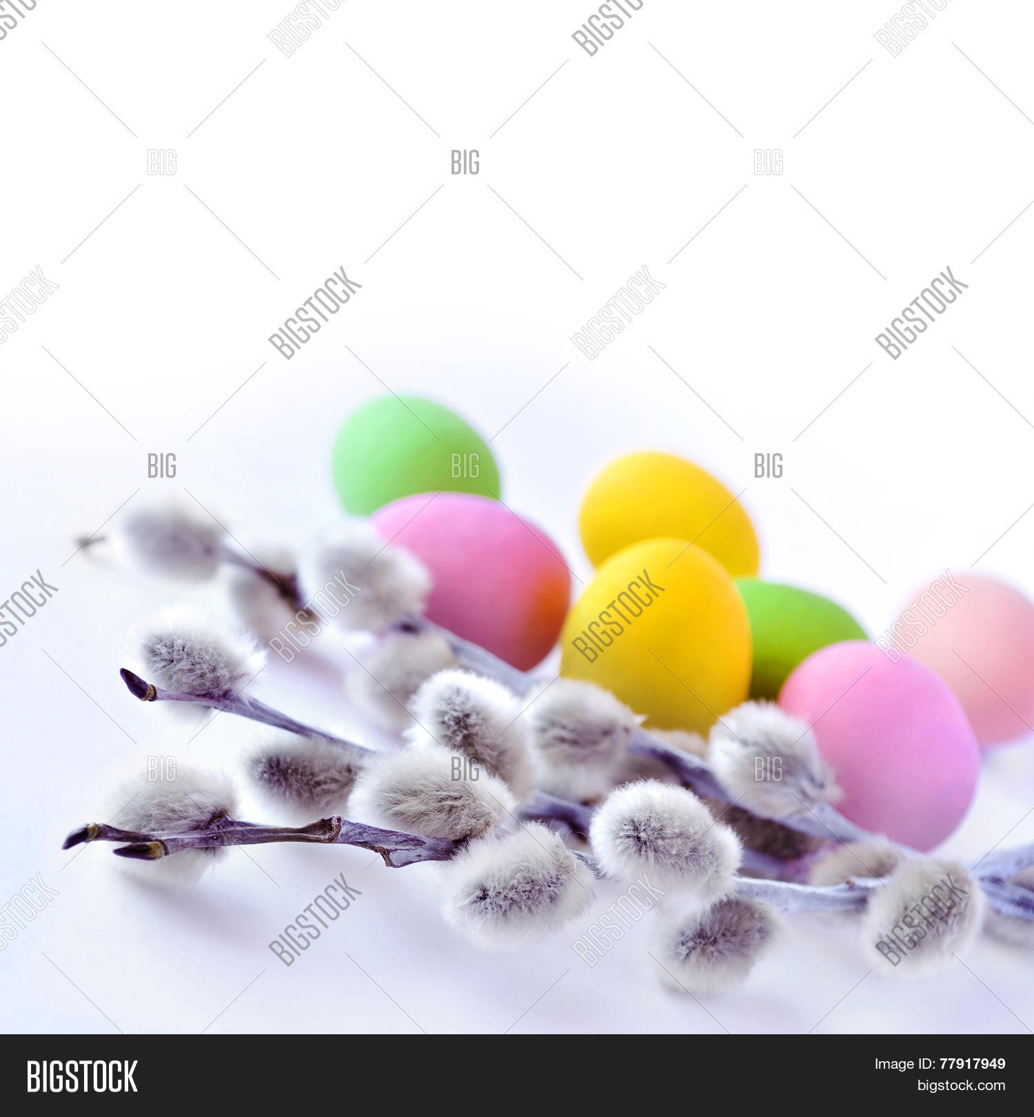 Image Preview