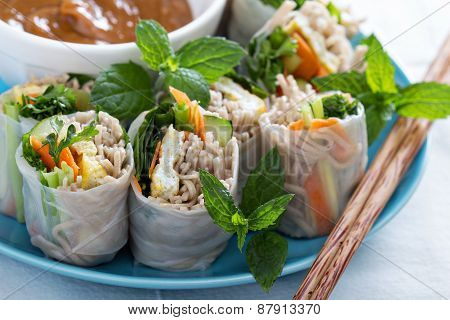 Summer rolls with soba noodles and vegetables