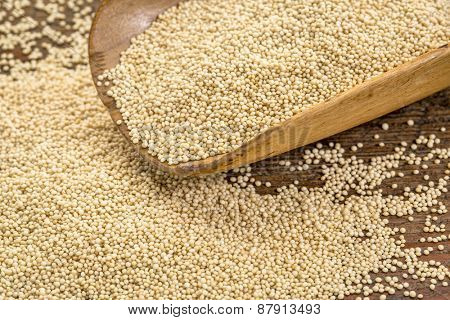 gluten free amarnath grain on a rustic wooden scoop