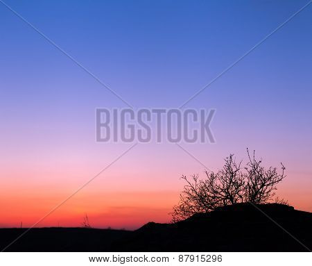 Beautiful Landscape Image With Trees Silhouette At Sunset In Spr
