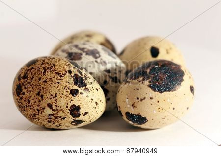 quail eggs on white background