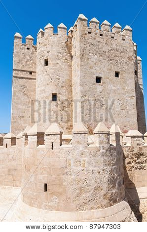 The Calahorra Tower In Spanish Cordoba