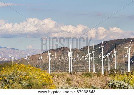 Wind Power