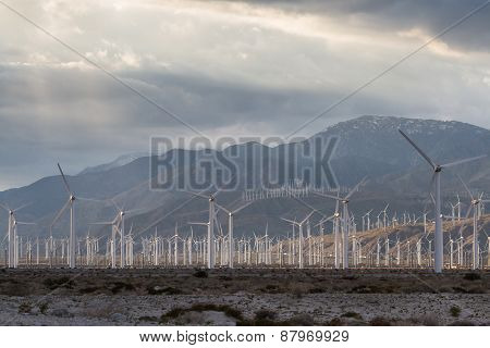 Wind Power