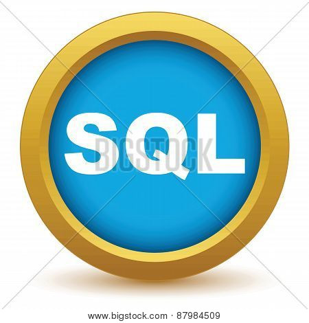 Gold sql icon