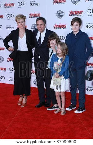 LOS ANGELES - FEB 13:  Mark Ruffalo at the 