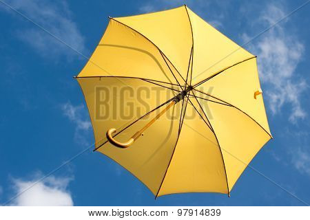 Umbrella