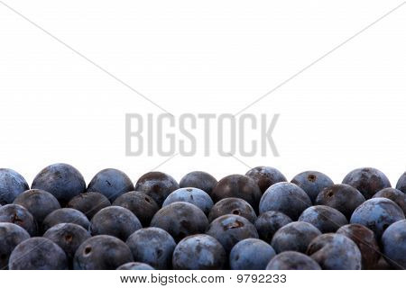 Heidelbeeren