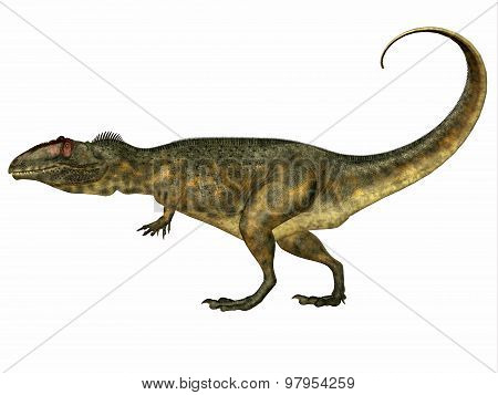 Giganotosaurus Side Profile