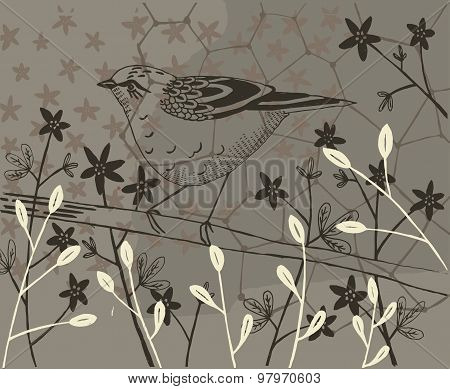 Bird on a Branch