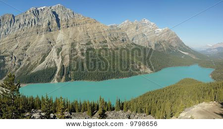 Peyto lake
