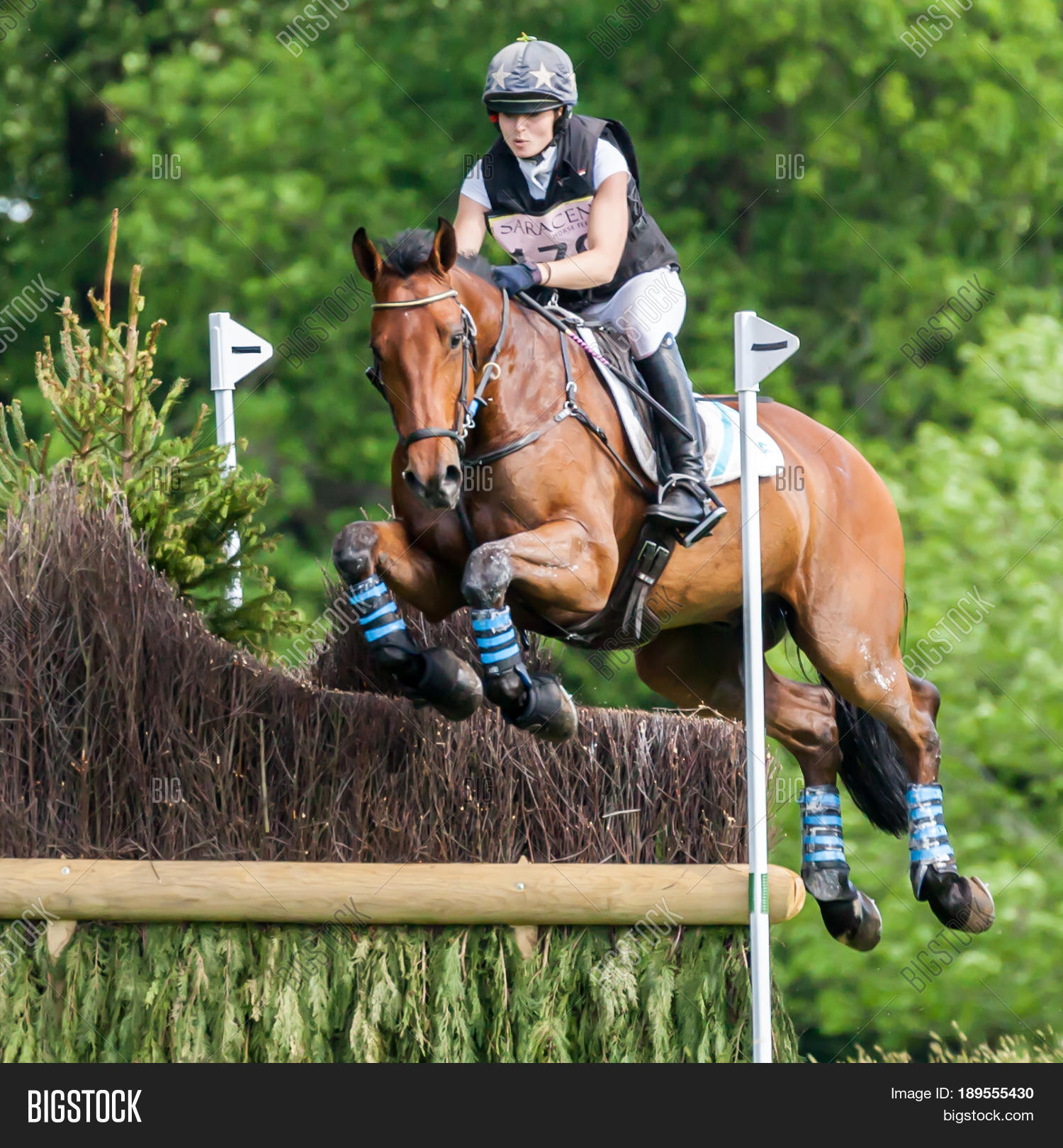 Houghton International Image & Photo (Free Trial) Bigstock