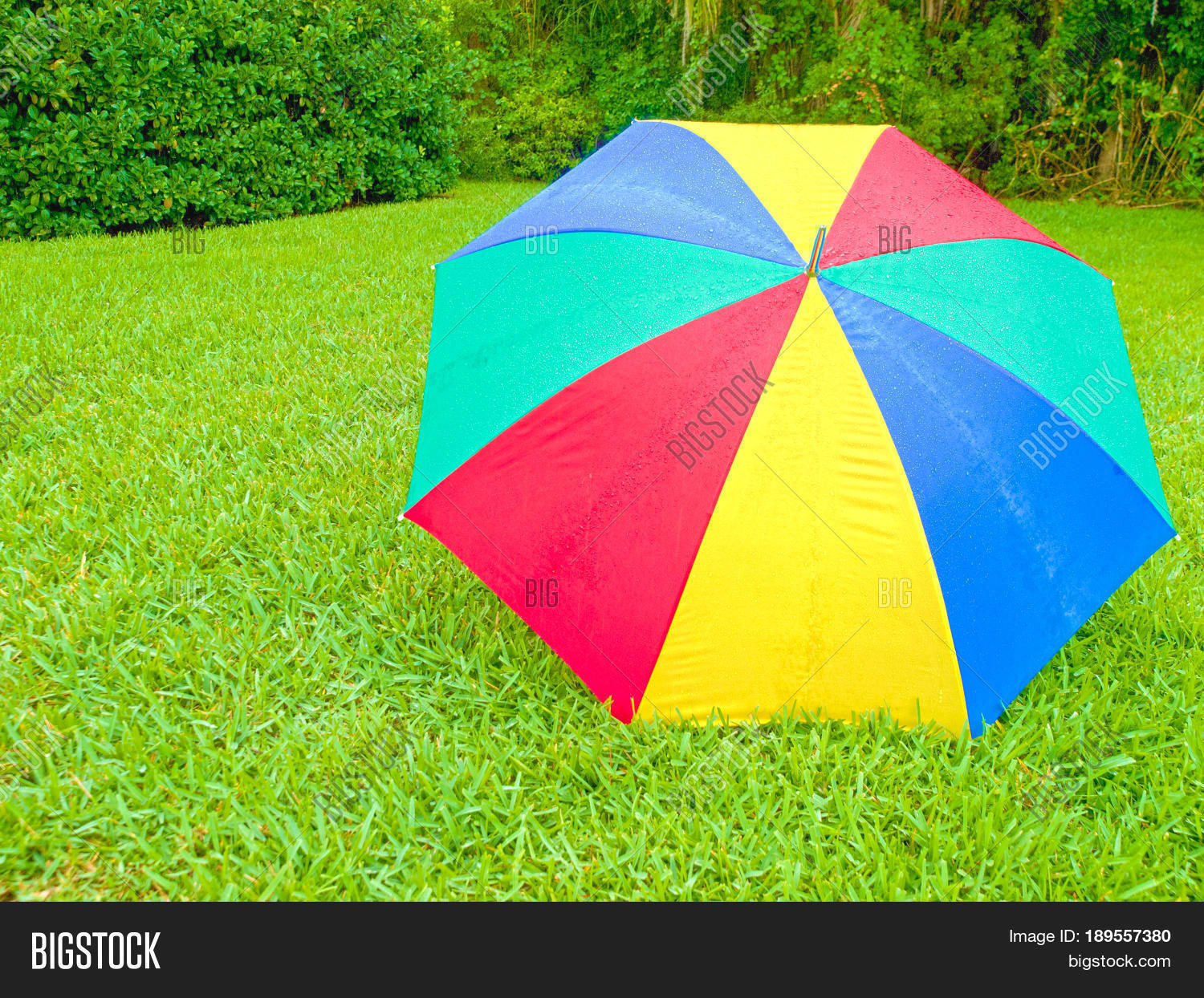 HDR Wet Umbrella On Image & Photo (Free Trial) Bigstock