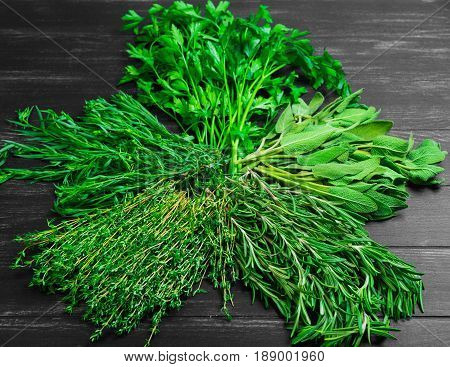Assortment of fresh herbs for meat and fish tarragon parsley rosemary thyme sage. Black wood background.