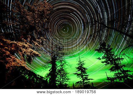 Star Trails And Northern Lights In Sky Over Taiga