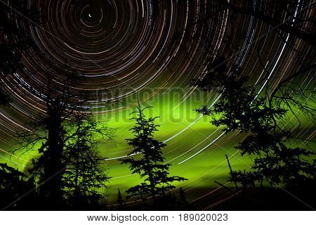 Star Trails And Northern Lights In Sky Over Taiga