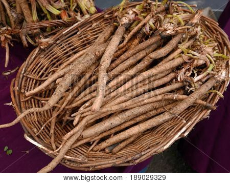 Basket of burdock root on purple tablecloth at farmers market