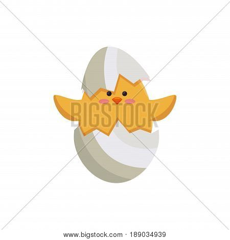 Little chicken cartoon icon vector illustration graphic design