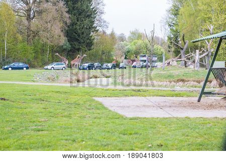 Cars In Safaripark Named Serengeti Park In Hodenhagen In 2017