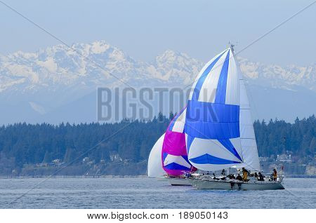 Saliing Races in the Pacific Northwest USA