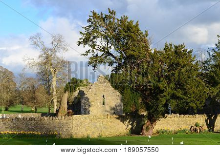 The ruins of the Adare Franciscan friary formerly known as the Church of St Michael Archangel of the Friars Minor.