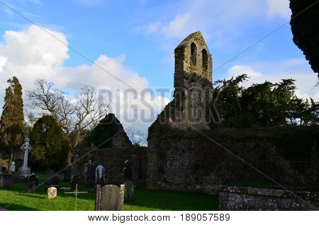The stone ruins of the Adare Franciscan Friary.