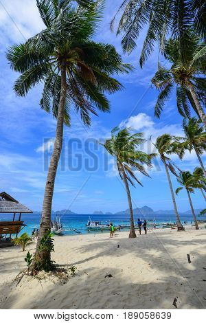Tropical Sea In Palawan, Philippines