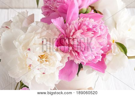 Still life with peonies on the wondow