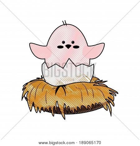 Little chicken cartoon icon vector illustration graphic