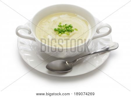 vichyssoise, cold potato soup, american summer cuisine isolated on white background