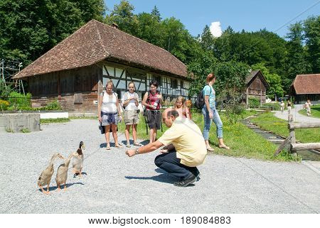 Man Feeding Ducks In Front Of Old Farm Houses