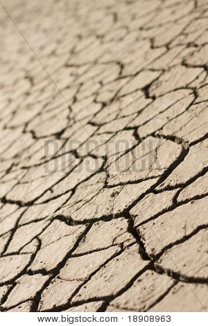 Cracking texture. Shallow DOF