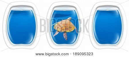 Three porthole frame windows of underwater submarine ship on marine green turtle, Chelonia mydas, swimming in blue water with copy space.